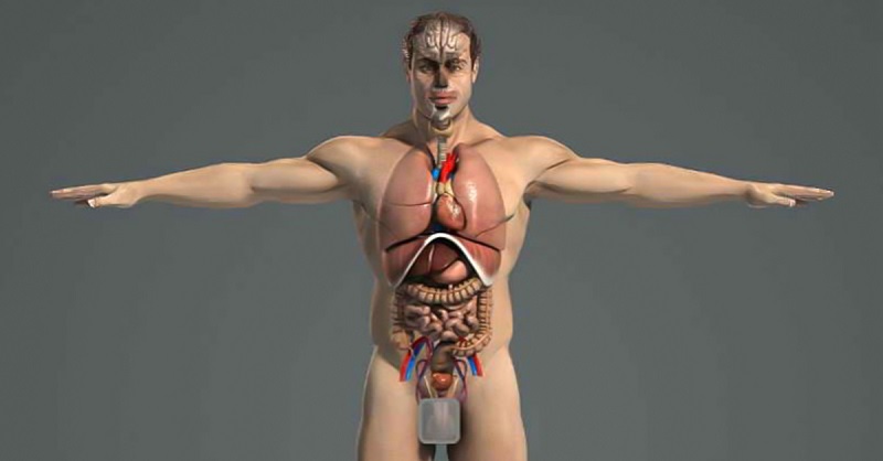 ÐовâÑзане зобÑаженнÑ